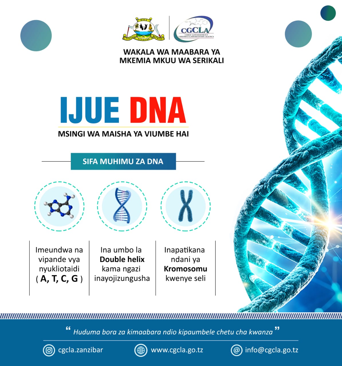 Ijue DNA